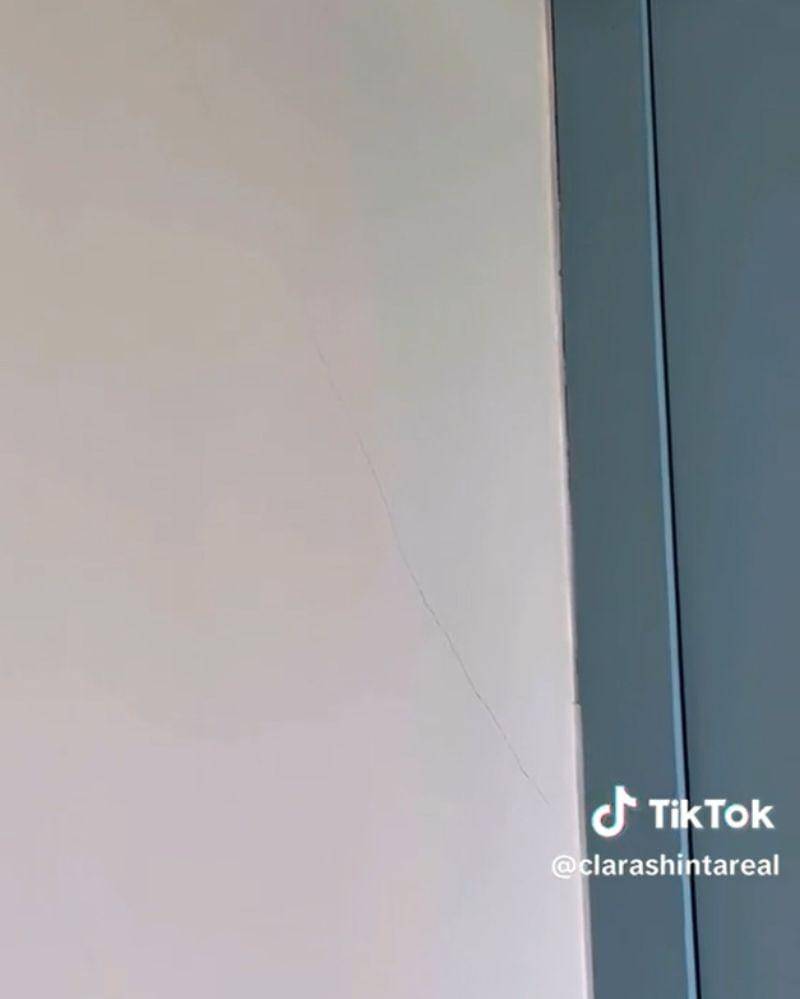 Tiktok.com/clarashintareal